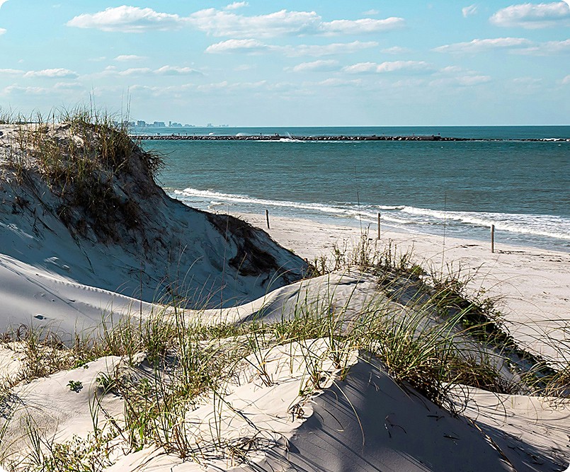 Sand dunes and sea oats overlooking a rock jetty on the Volusia County, Florida coast